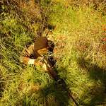 CityShark v plné zbroji